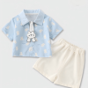 Class A Pure Cotton Infant Separates Set