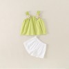 Baby Carrier Set